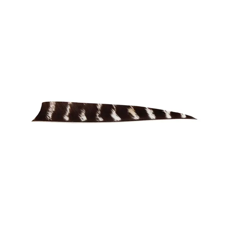Bearpaw 5-Inch Shield-Cut Natural Barred Turkey Feather 1