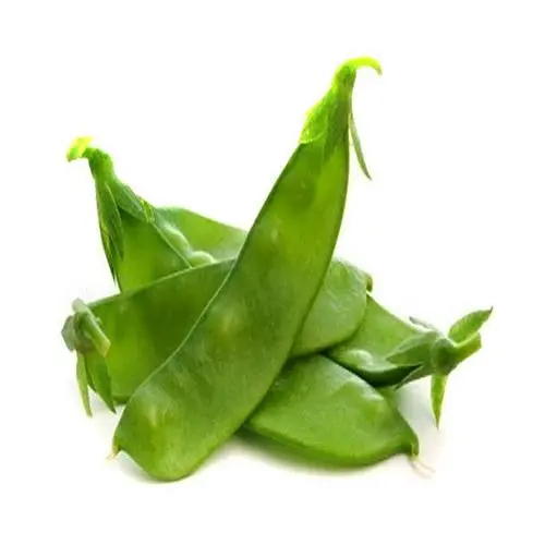 Broad Beans (Avarakkai / Vaal Papdi) – Fresh Tender Pods, 1 Bundle 1