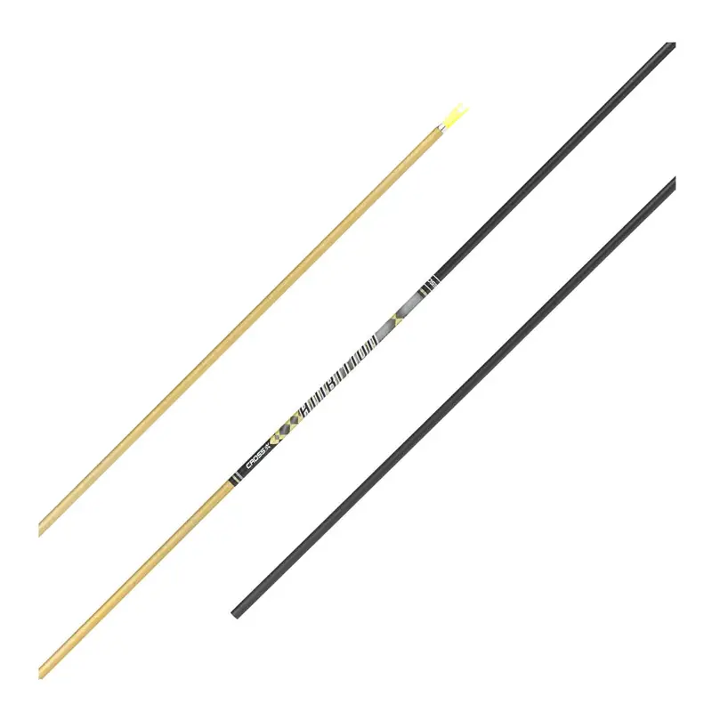 Cross-X Ambition Gold Edition Carbon Arrows 1