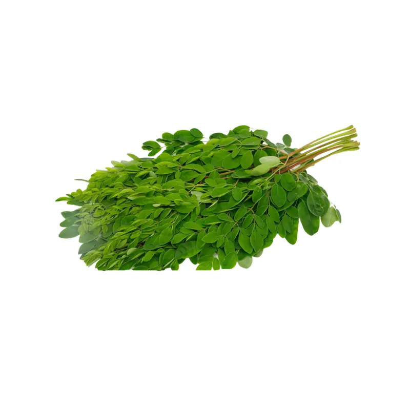 Fresh Drumstick (Moringa) Leaves – Bunch 1