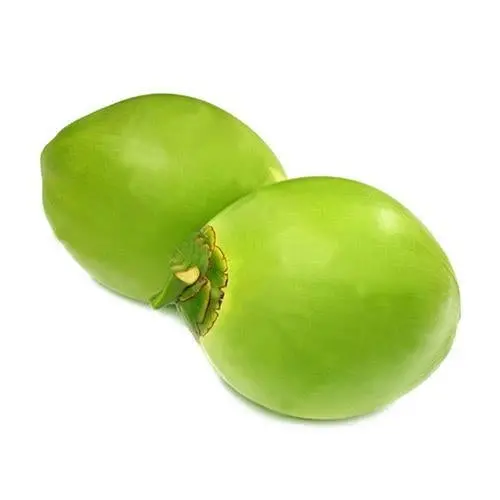 Green Tender Coconut – Fresh & Hydrating 1