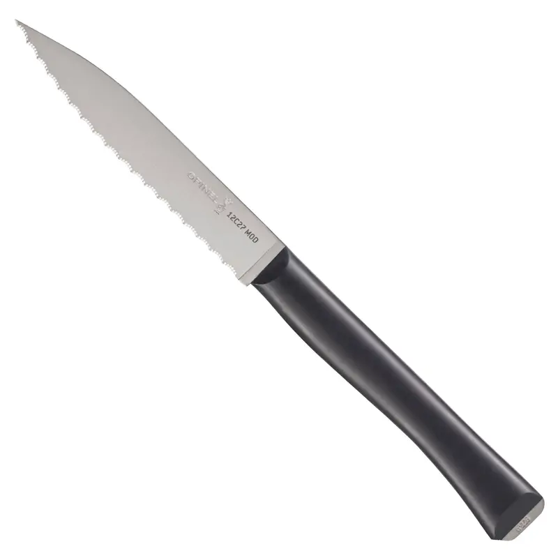 Intempora 4-Inch Serrated Paring Knife 1