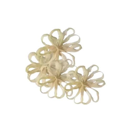 Lotus Stem Wicks (Thamarai Thantu Thiri) – Natural, 1 Piece 1