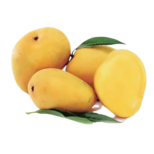 Premium Banganapalli Mango Box – ~1.6 Kg (Approx.) 1