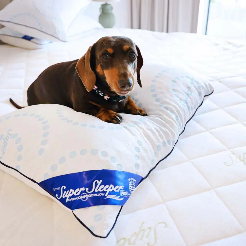 Super Sleeper Pro™ Adjustable Cooling Pillow — Exclusive Tv Bundle Offer 1