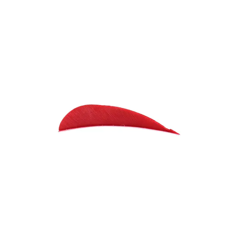 Trueflight 3-Inch Round-Back Right-Wing Feather – Compact Design 4