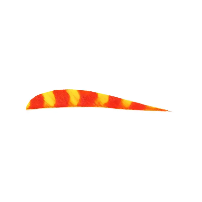 Trueflight Brite Stripes 4-Inch Round-Back Right-Wing Feather 5